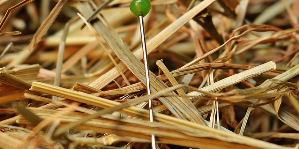 needle-in-a-haystack-1752846_640